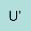 Unknown_bird26 '
