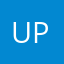 Uppishpilot