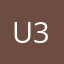 Usa 313