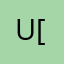Usman [44]