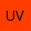 Uzi V