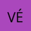 Vészértékelő