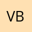 V bee11