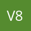 V8748855
