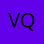 Vi nguyen qp