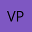 Vic pontes