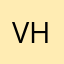 Vinicius Henry