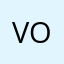 Voodochips