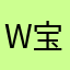 W宝宝巴士