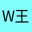 W王火