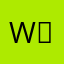 W흰용D