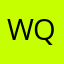 WELISON Q*