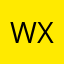 WX金牛月&影