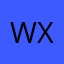 WX22408