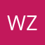 WZRY……1