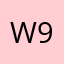 Wayne Train 91