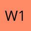 Wild Flower 13