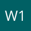 Wise investor 1234