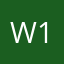 Wise1-1