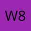 Wong 869