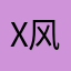 X风行者X