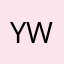 YY Wang