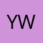 YouTuber new world