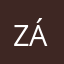 Záyashi