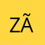 Zãozinho