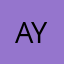 arif yildirim