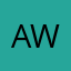 awsomeman99
