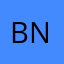 bùi ngọc an nhien