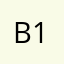 b1bayer