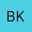 bahar k.