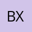 baldbebsgannsgsms x