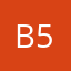 bcbg 5962