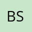 bert s.