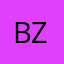 bi zamp