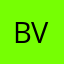 bijals villu