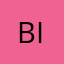 bipbip67300