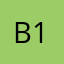 bird boy 14