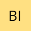 bitbranding