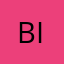 bitdomain4