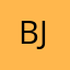 bjf9331