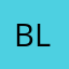bl5555top