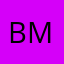 bmtbear