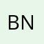 bn10ai