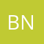 bnmsv