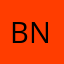 bnn_29