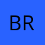 branditong9